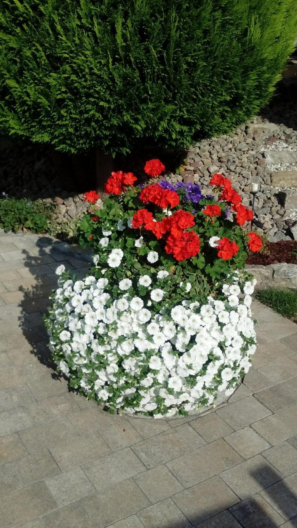 Ferienwohnung Seegarten Waldbuttelbrunn Kültér fotó
